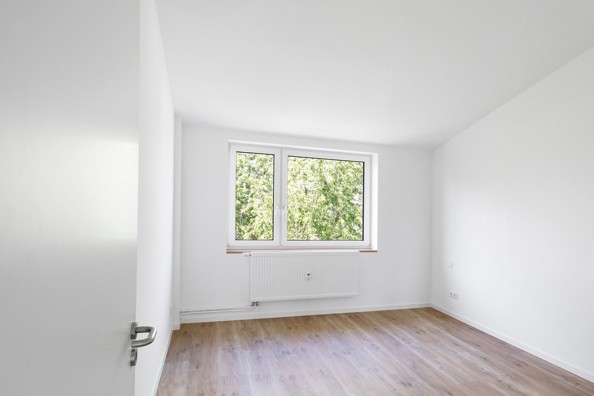 Newly renovated generic apartment